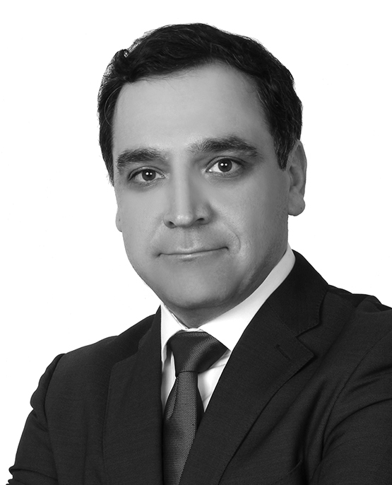 Mohammad Amirafshari